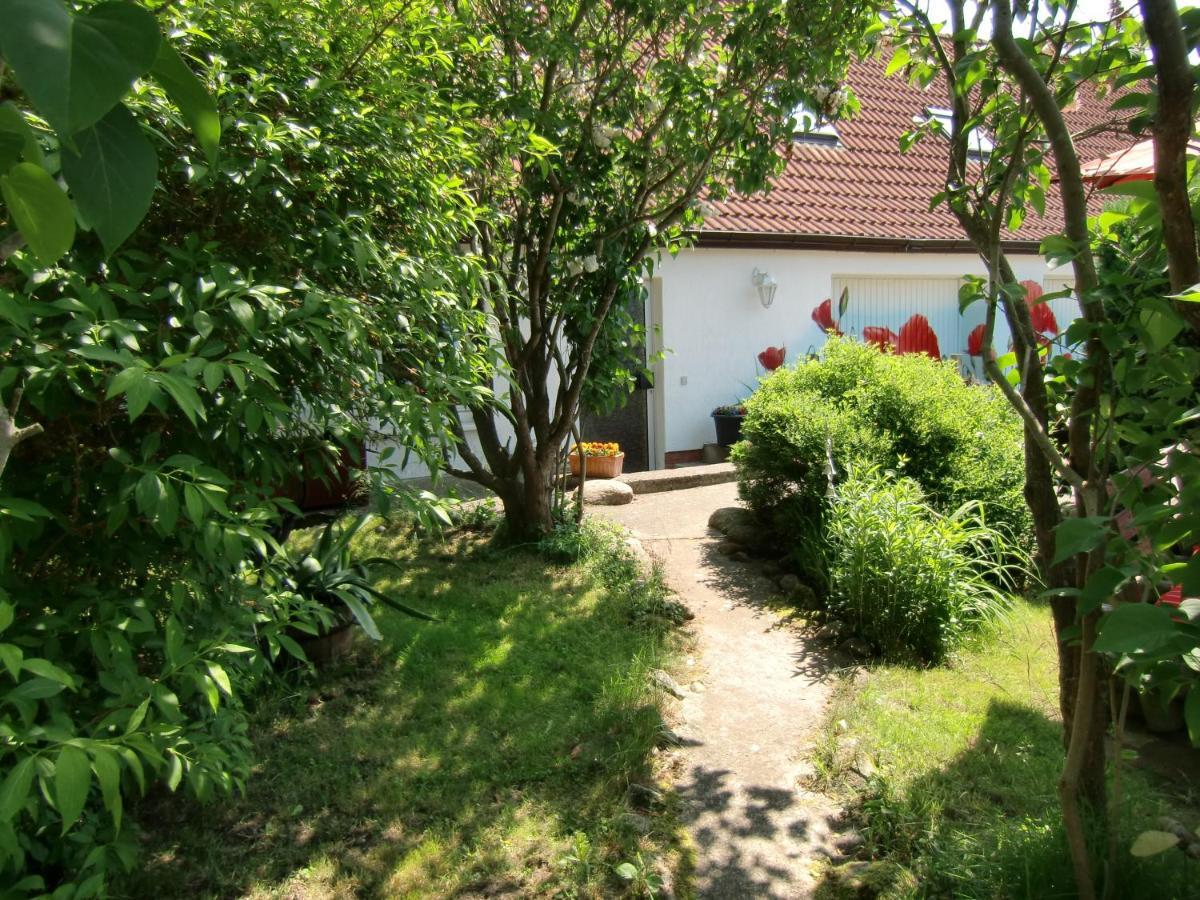 Hotel Inselromantik Rügen Dreschvitz Exterior foto